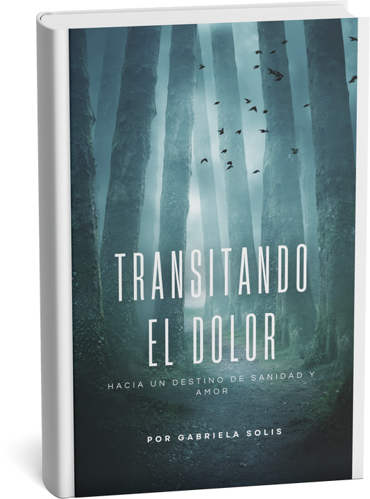 TRANSITANDO EL DOLOR, hacia un destino de sanidad y amor.